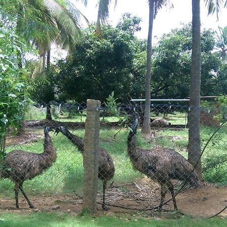 Nelliyampathy Mango Village Farm House المظهر الخارجي الصورة