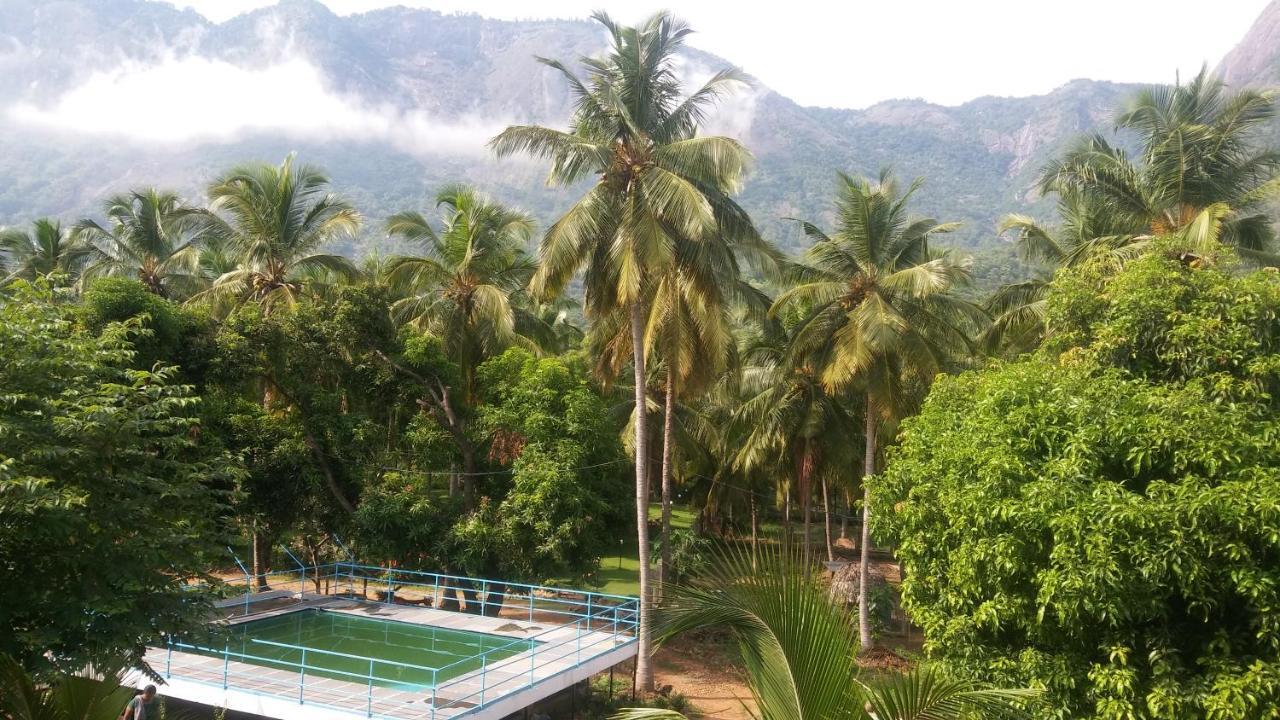 Nelliyampathy Mango Village Farm House المظهر الخارجي الصورة
